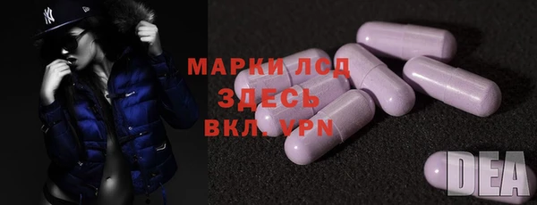 сатива Армянск