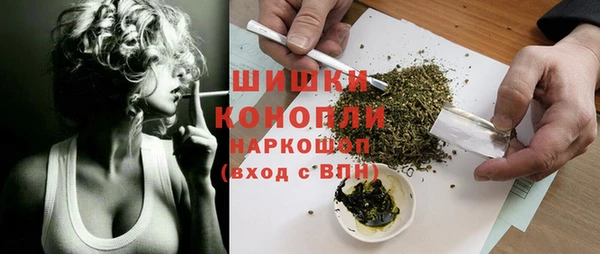 сатива Армянск